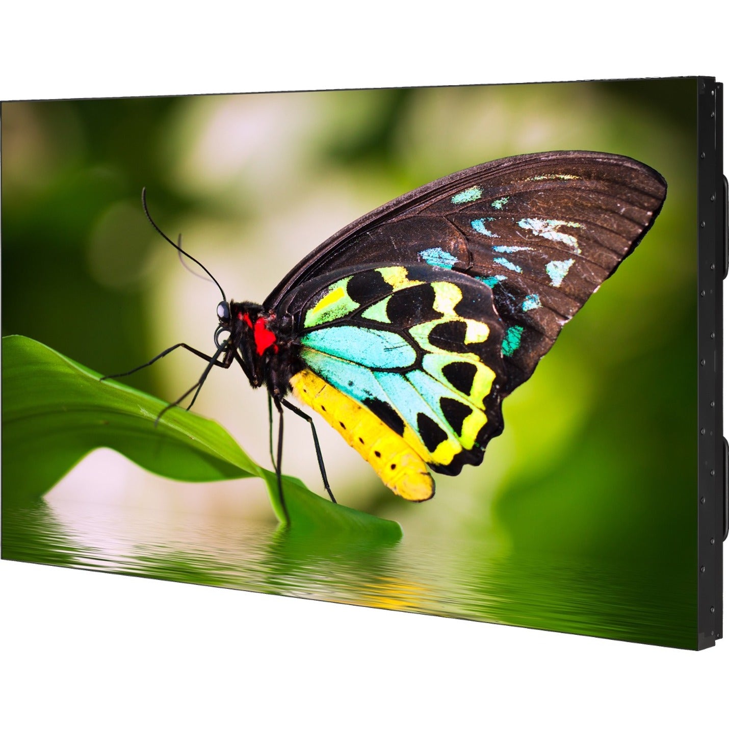 Sharp NEC Display 55" Ultra Narrow Bezel S-IPS 3x3 Video Wall Solution (UN552-TMX9P)