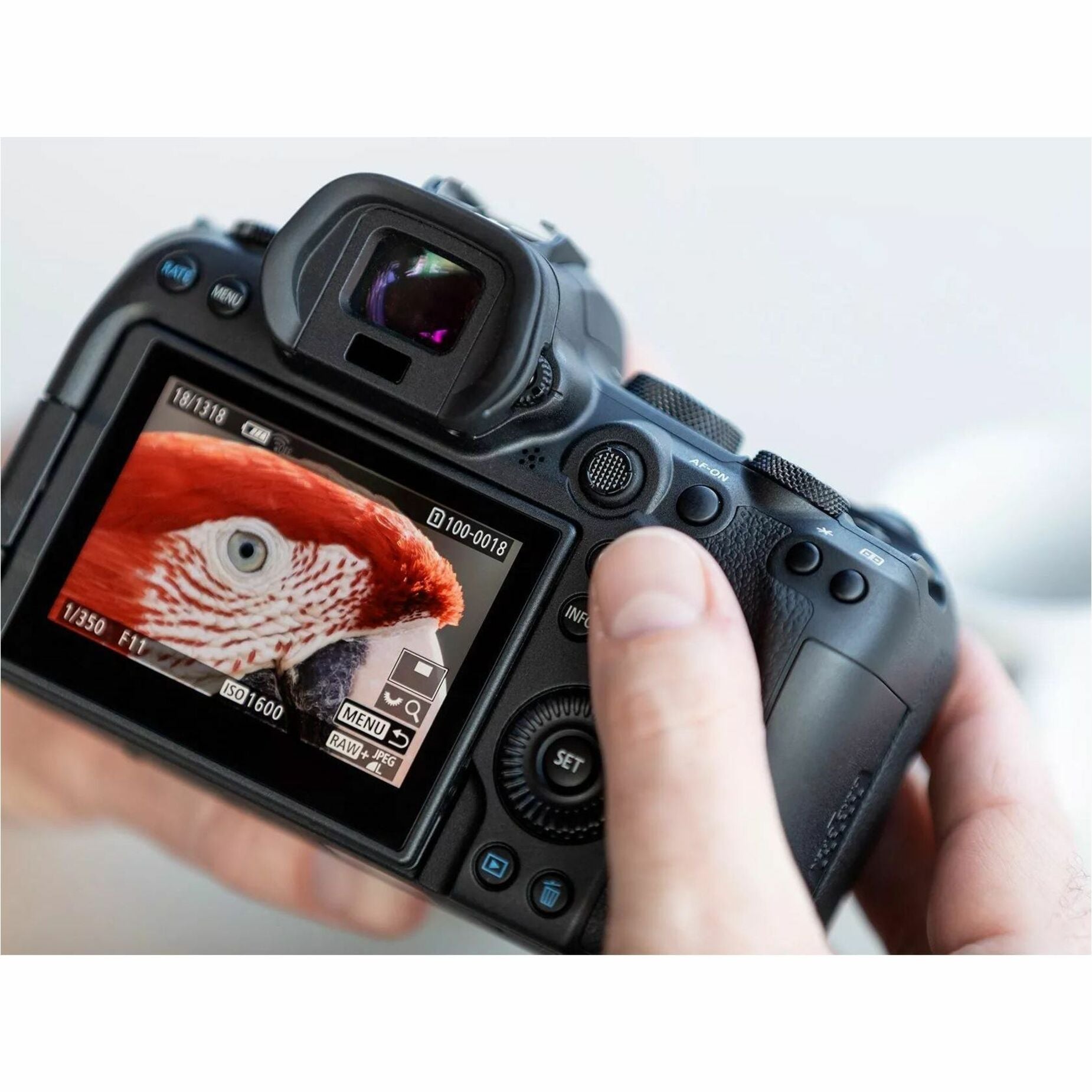 Canon EOS R6 Mark II Full Frame Mirrorless Camera with RF24-105mm