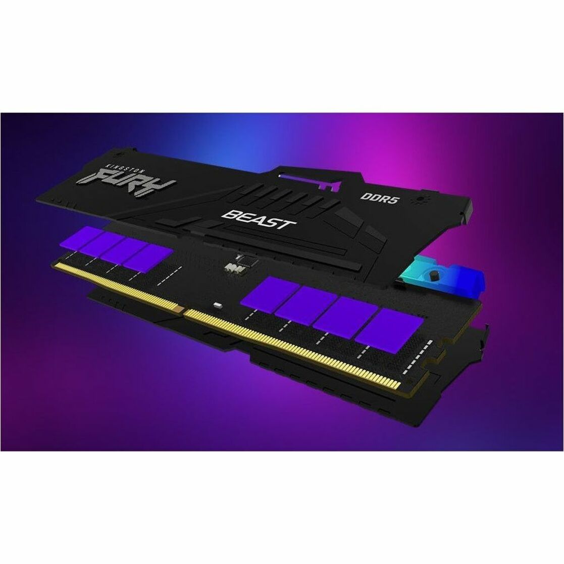 Exploded view diagram of Kingston FURY Beast DDR5 RAM module components