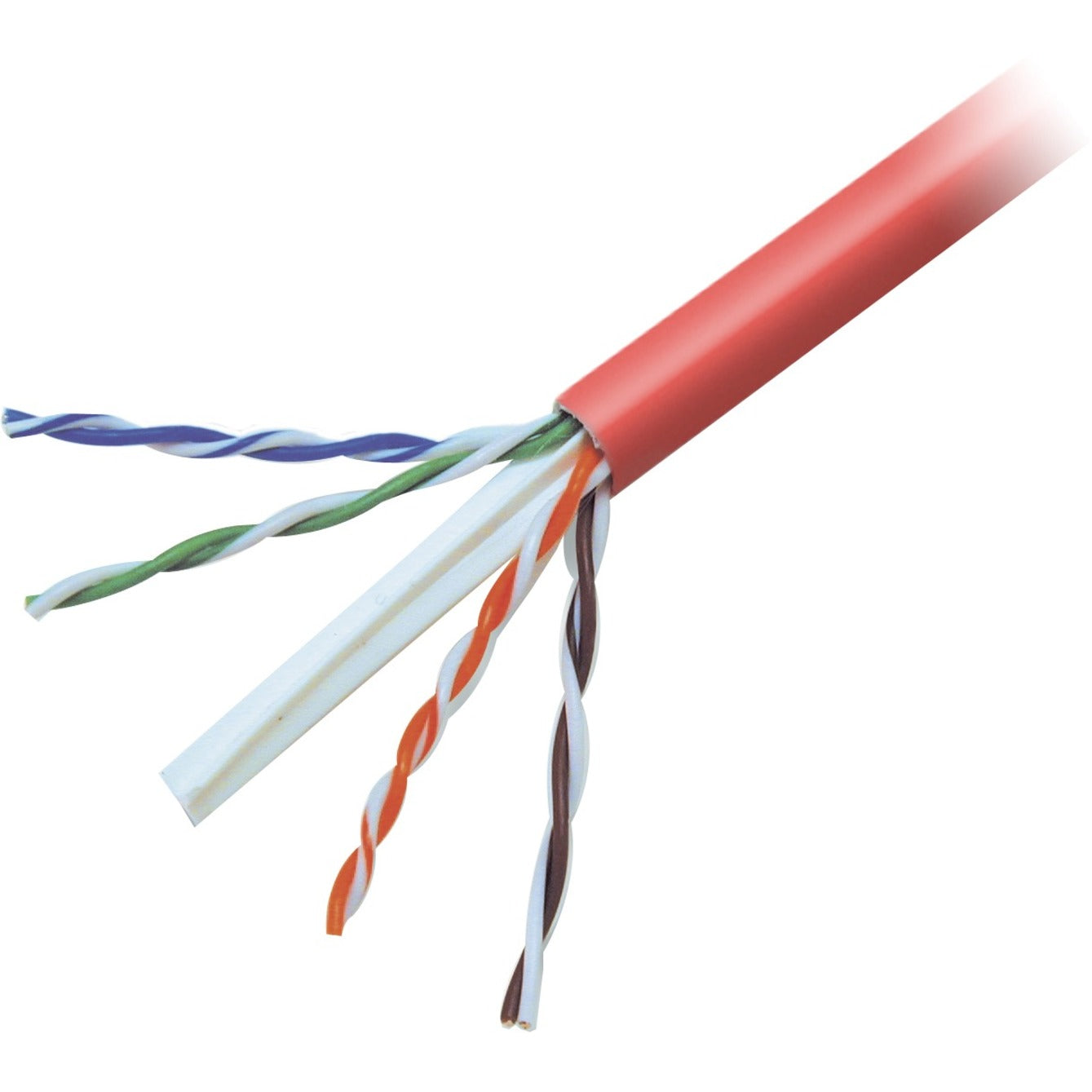 Belkin A7L704-1000-RED Cat6 Patch Cable, 1000ft, Red - High-Speed Network Cable for Reliable Connections
