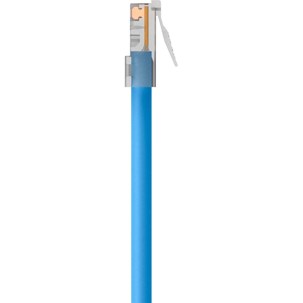 Belkin A3L791-01-BLU Cat5e Patch Cable, 1 ft, Blue, Lifetime Warranty