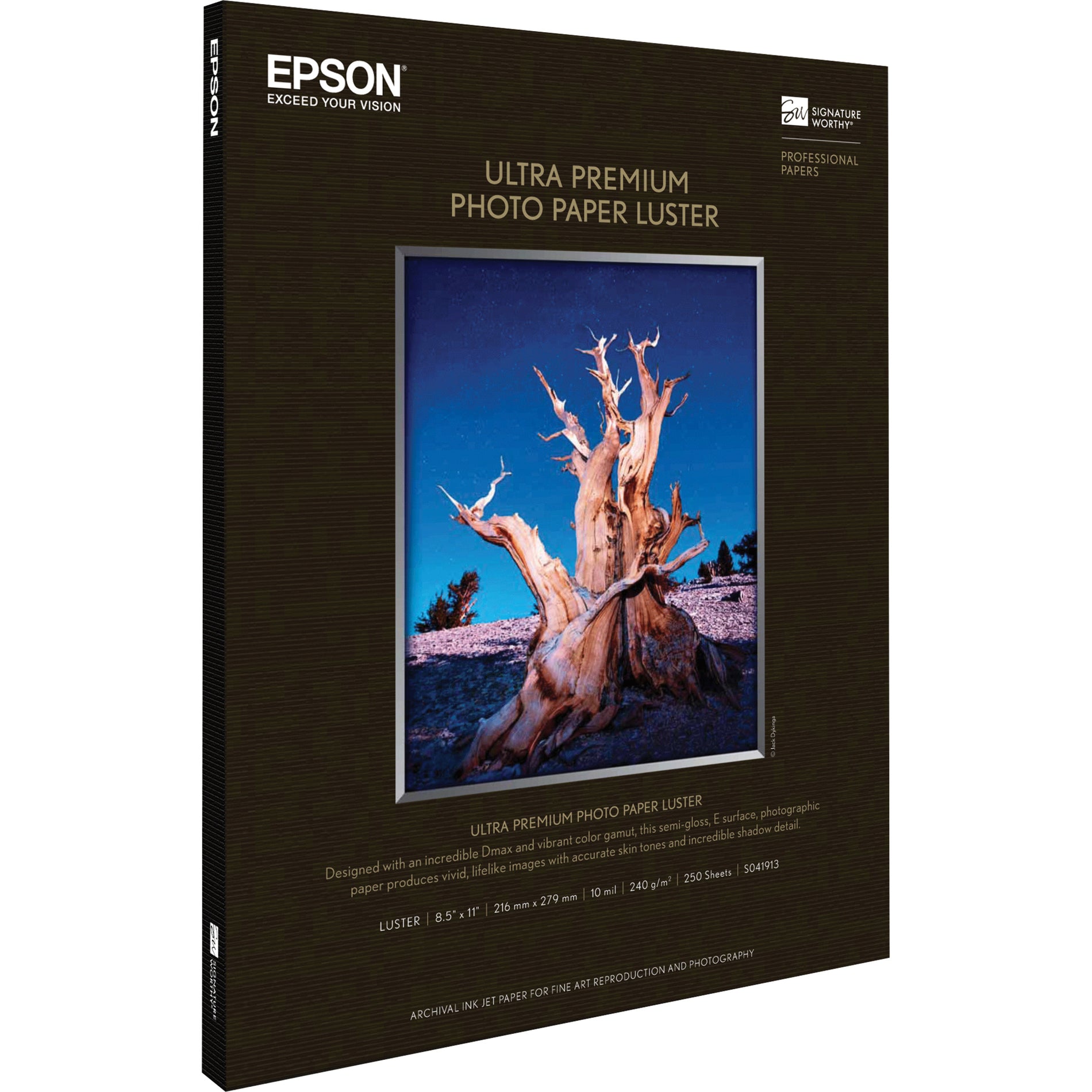 Epson S041913 Premium Photo Paper, Luster Finish, 8 1/2" x 11", 250 Sheet
