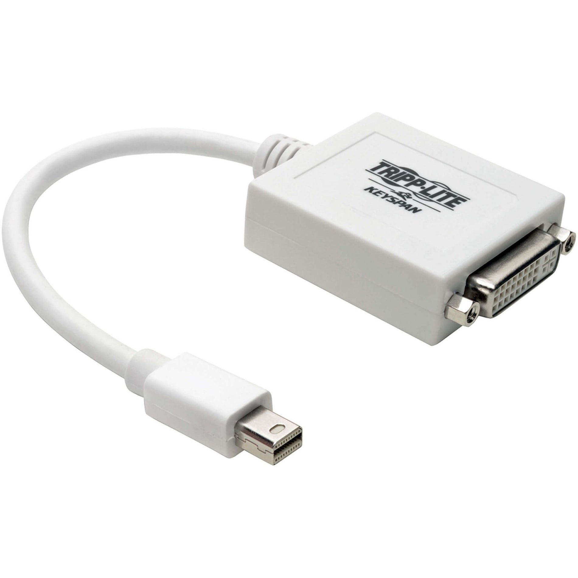 Keyspan P137-06N-DVI Mini Displayport to DVI Adapter, White - Connect Mac or PC to DVI Monitor