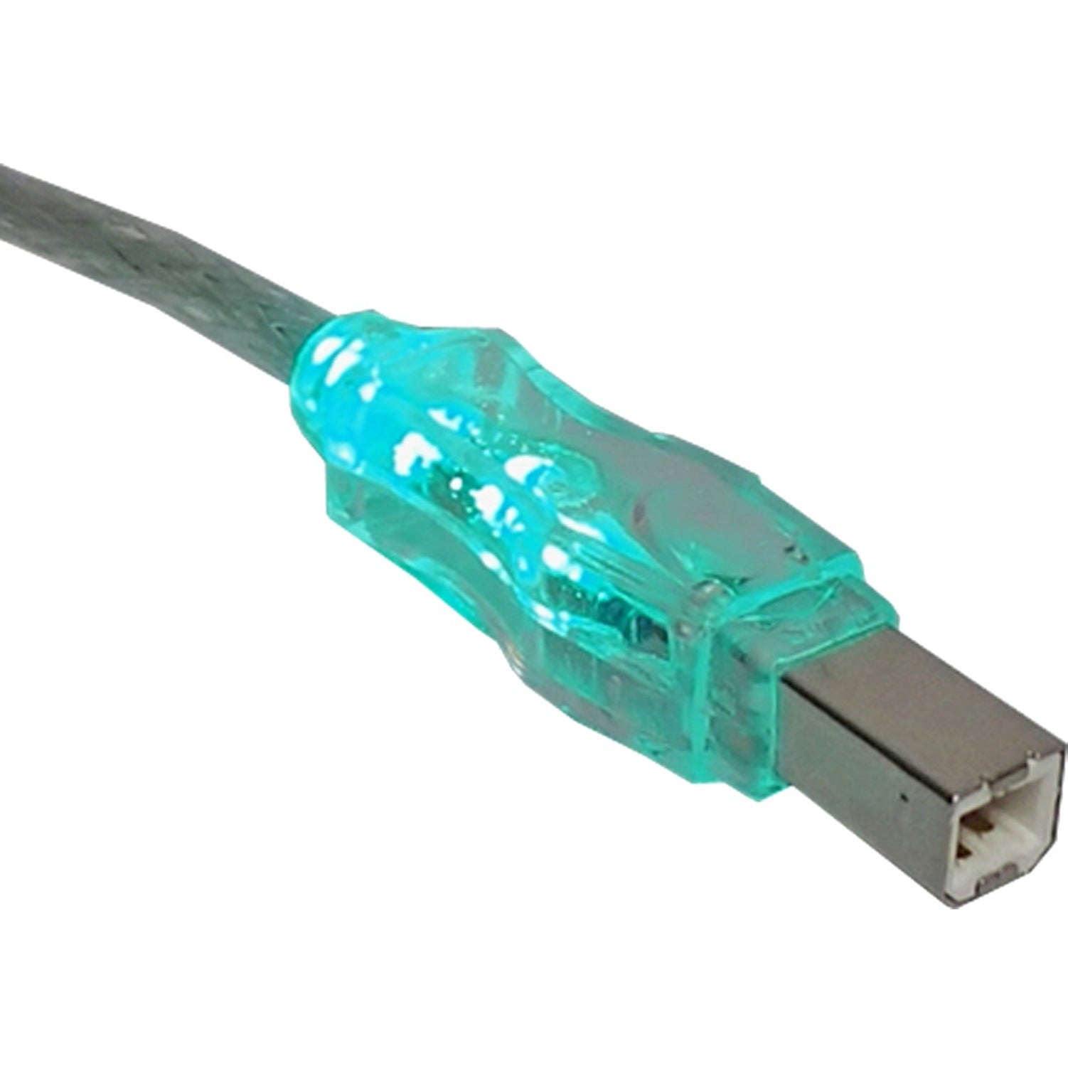 QVS CC2209C-10GNL USB 2.0 480Mbps Type A Male to B Male Translucent Cable with Green LEDs, 10ft Length