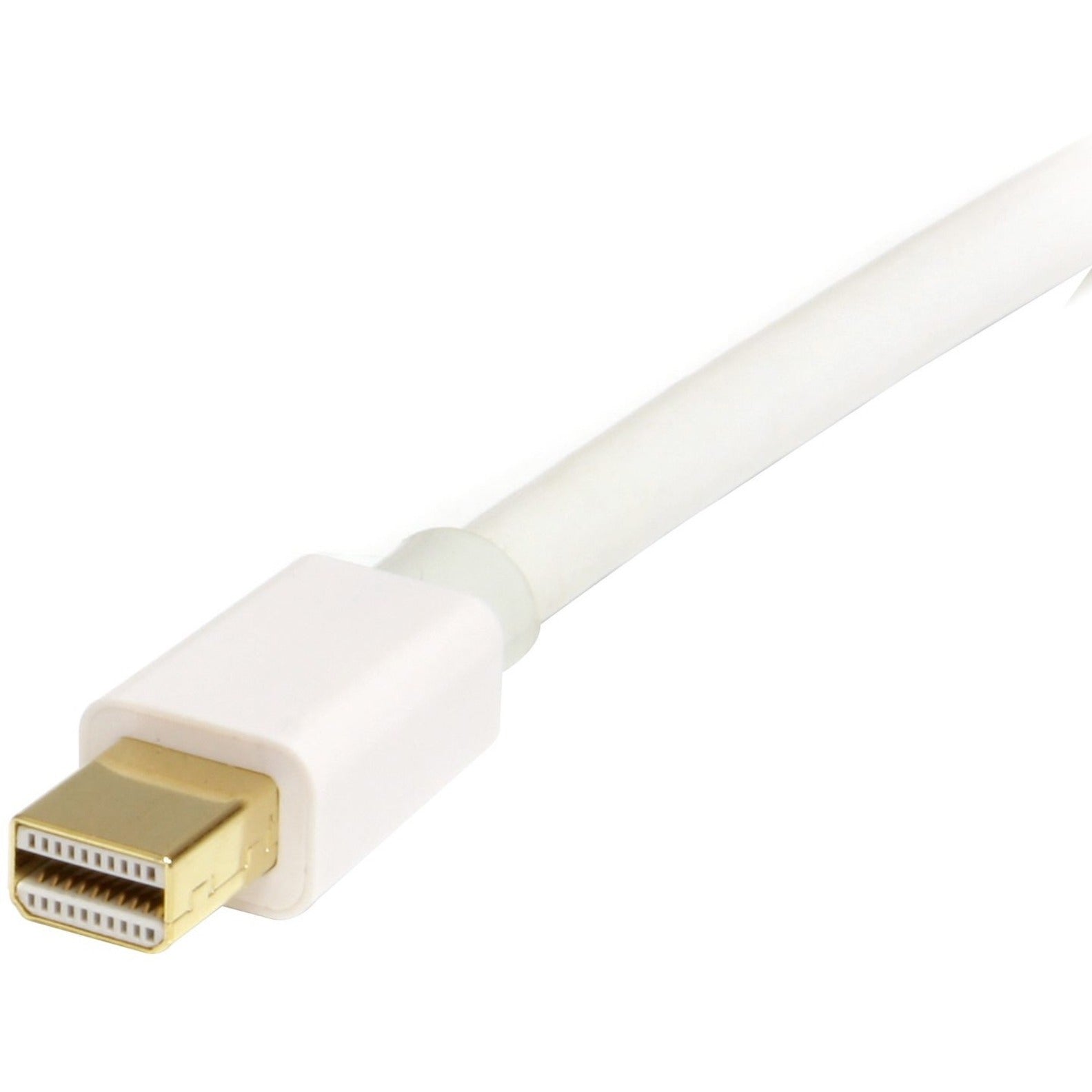 StarTech.com MDP2DPMM1MW Mini DisplayPort to DisplayPort Cable, 3.28 ft, Damage Resistant, Gold Plated, 21.6 Gbit/s