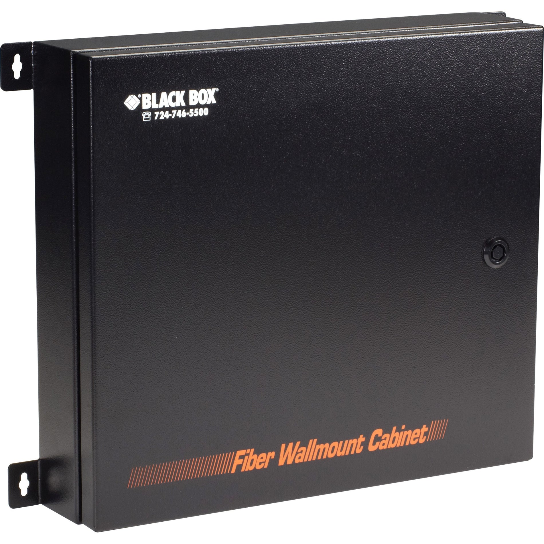 Black Box Fiber Wall Cabinet, Lock-Style, 12-Adapter Panel (JPM4000A-R2)