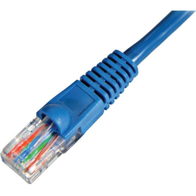 W Box C5EBL1 Cat5e Patch Cable, 1 ft, Snagless, Molded, Gold Plated Connectors, Blue