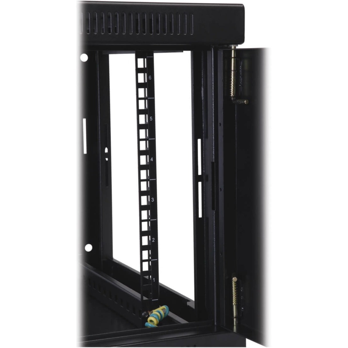 Tripp Lite SRW10USG SmartRack Wall Mount Rack Cabinet, Swing Door, 10U, 200 lb Capacity