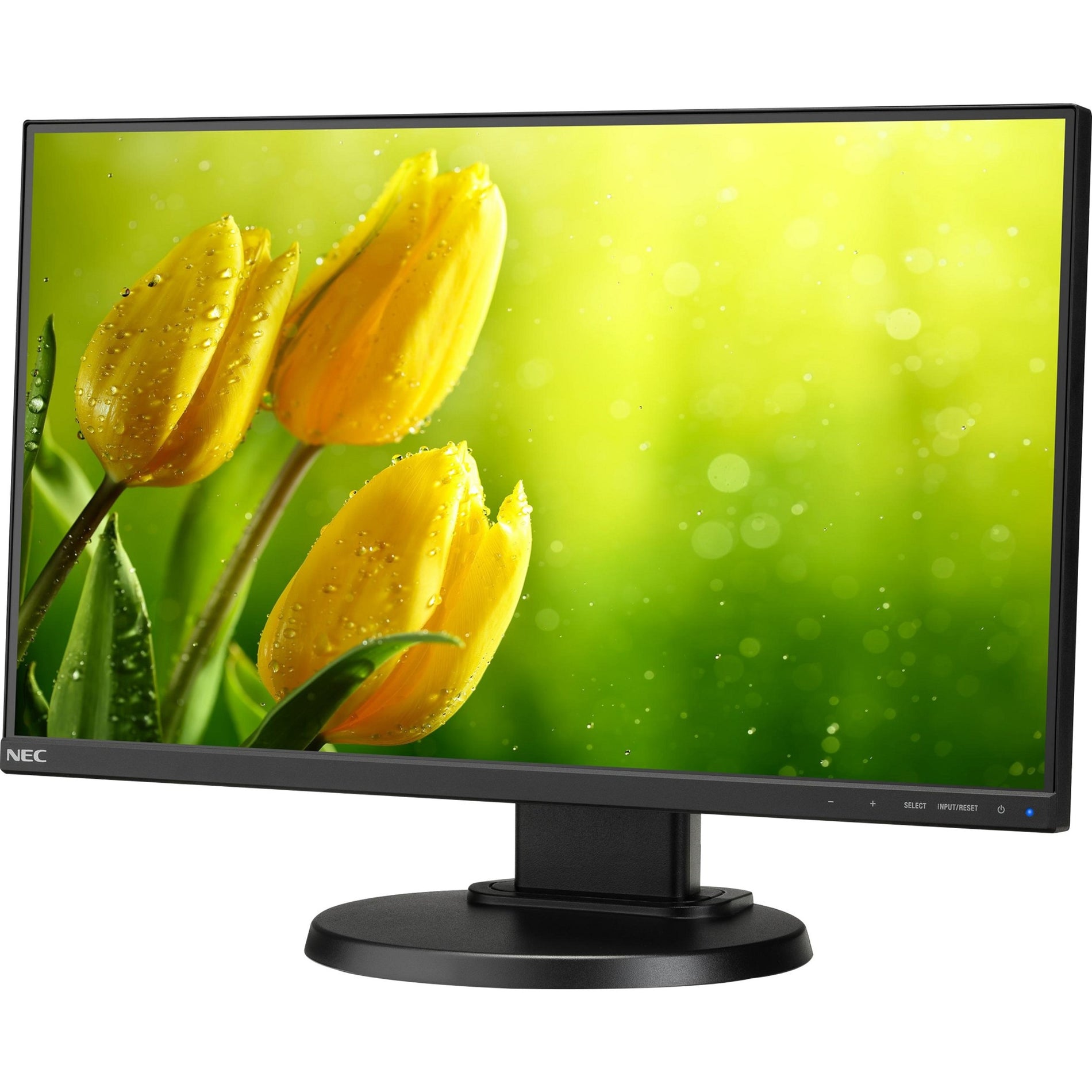 NEC Display MultiSync E221N-BK 22" Full HD LCD Monitor [Discontinued]