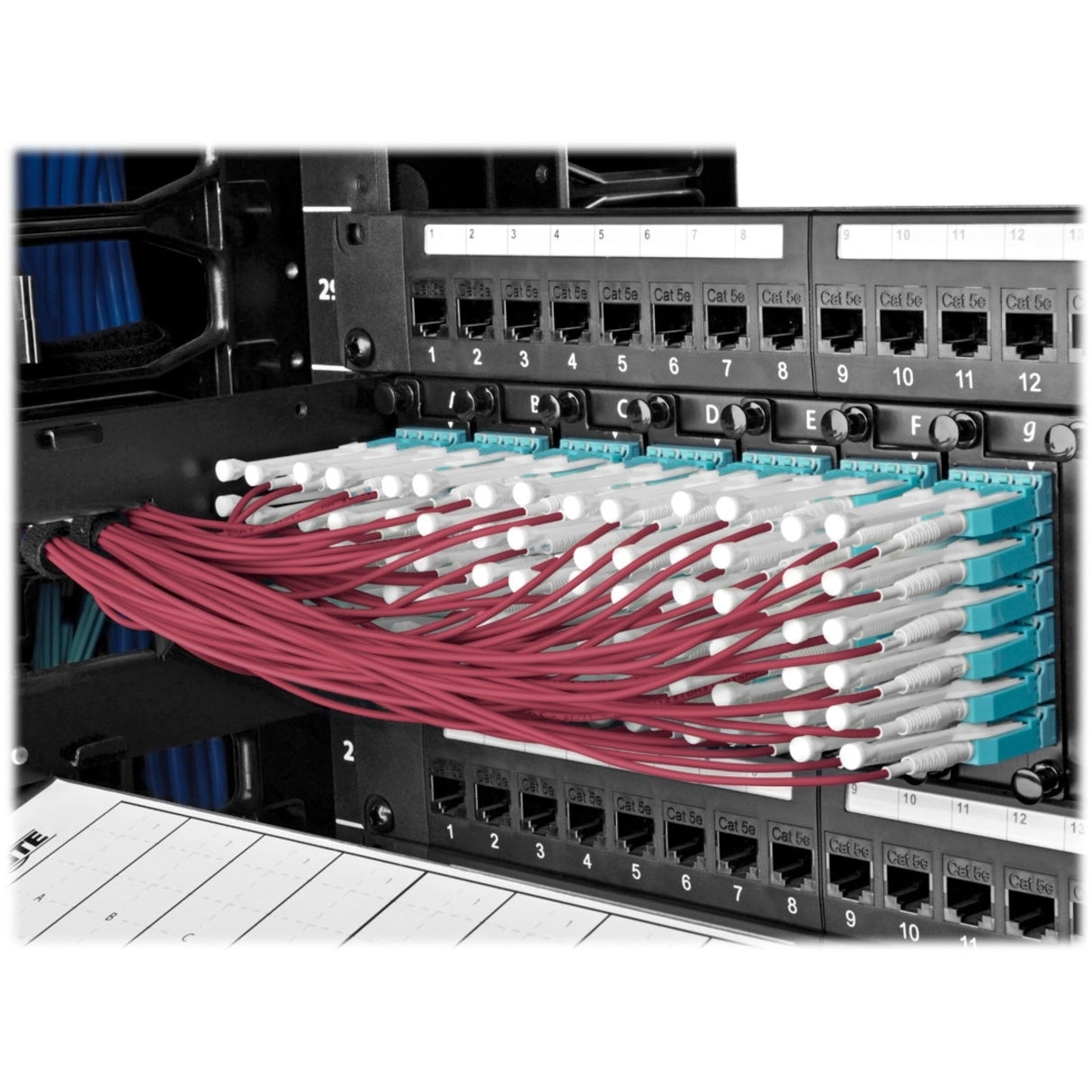 Tripp Lite N821-02M-MG-T Fiber Optic Network Cable, 6.60 ft, Multi-mode, 100 Gbit/s, Magenta
