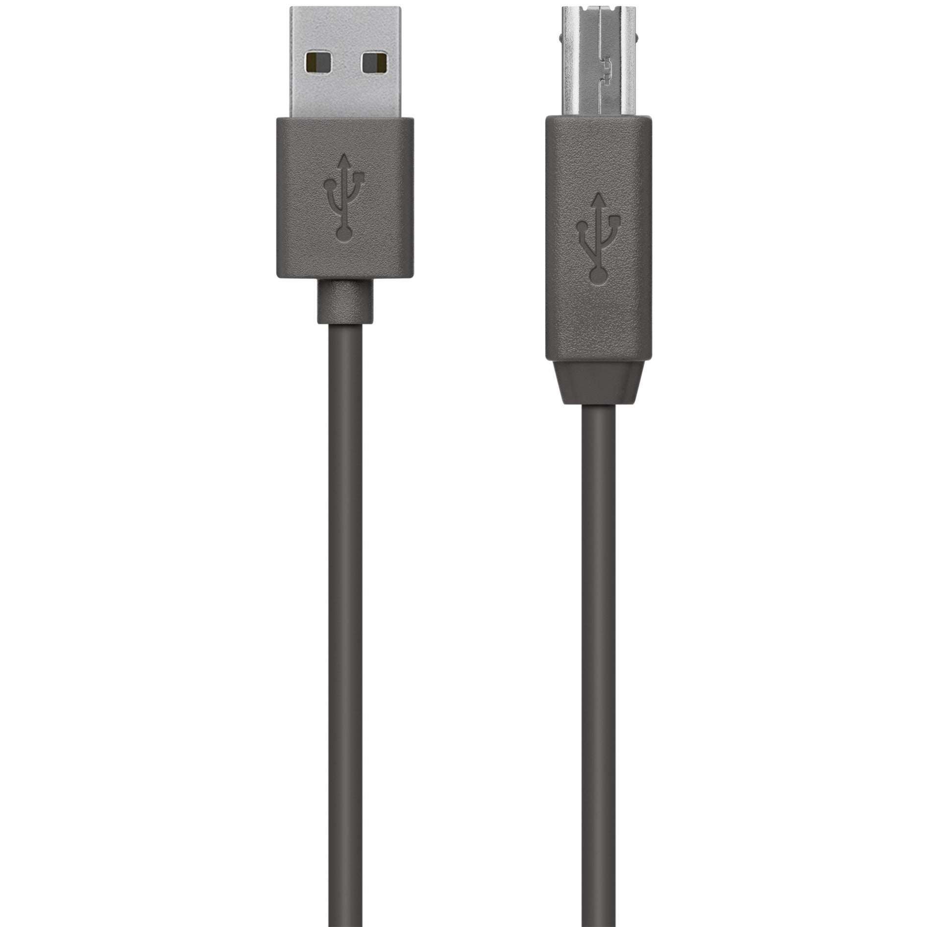 Belkin F3U154BT4.8M USB2.0 A - B Cable 4.8m, 15.75 ft Data Transfer Cable