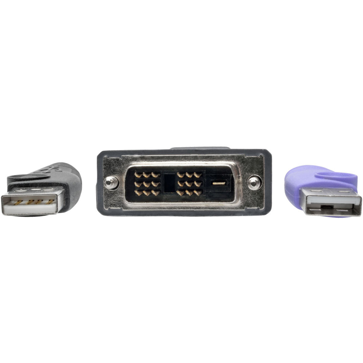 Tripp Lite B055-001-UDV NetDirector DVI USB Server Interface Unit, KVM Console/Extender