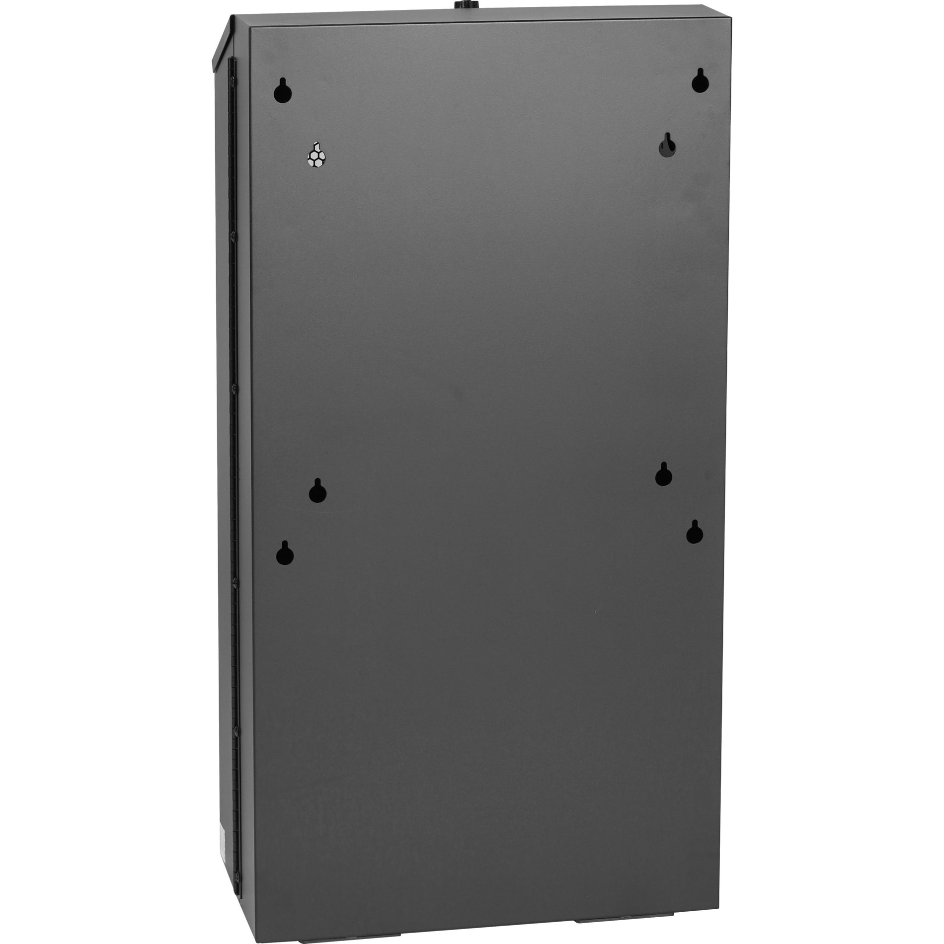 Black Box RMT353LA Low-Profile Vertical Wallmount Cabinet - 6U, 36"D Equipment, TAA Compliant, 1 Year Warranty