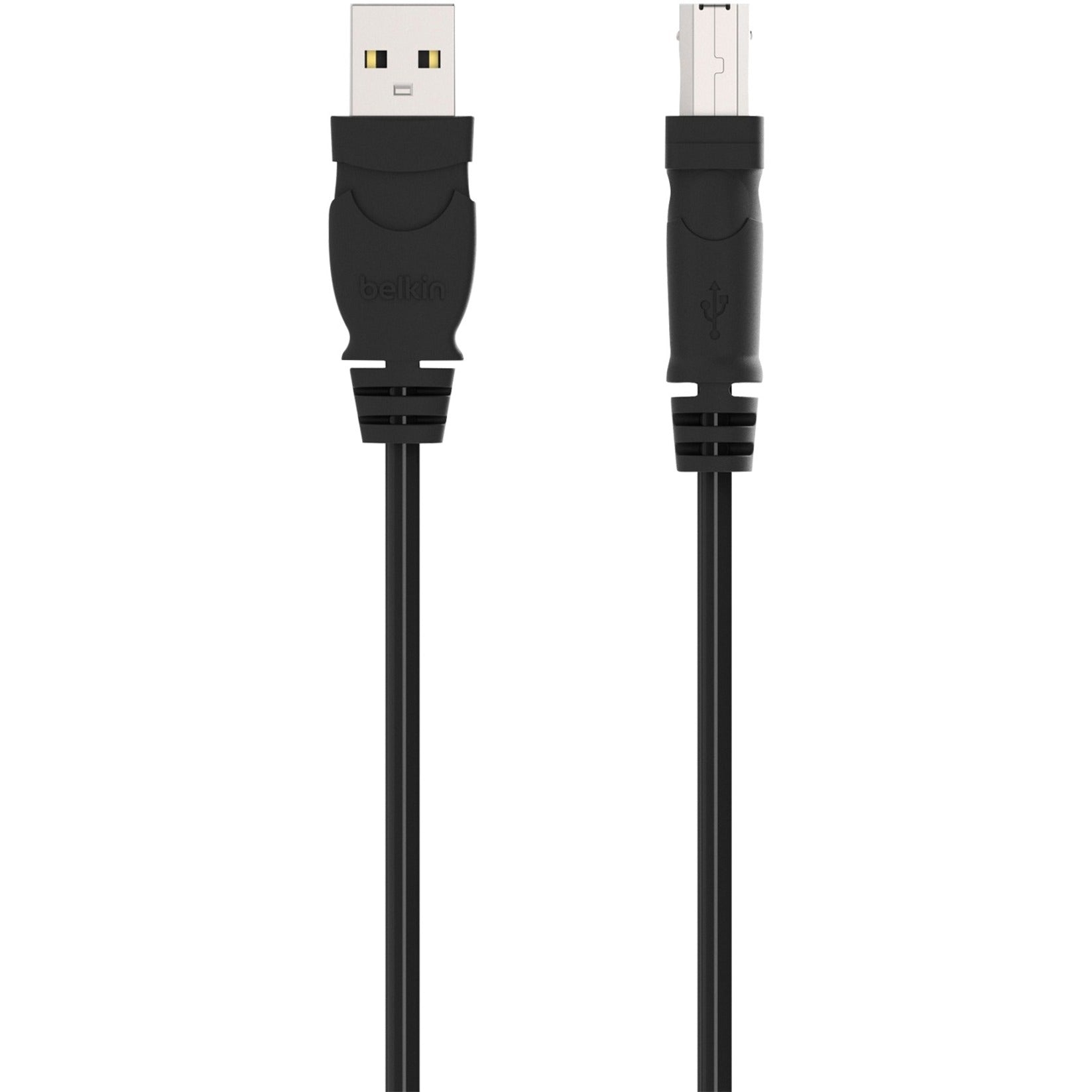 Belkin F3U133B06 Hi-Speed USB 2.0 Cable, 6 ft Data Transfer Cable