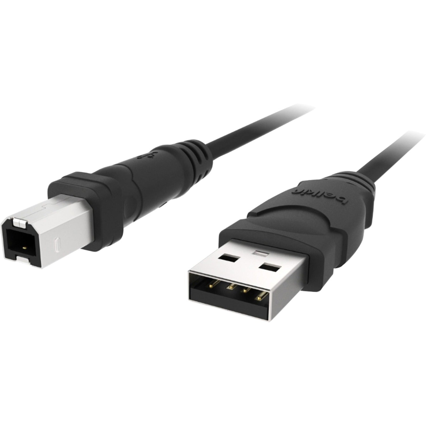Belkin F3U133B10 USB Cable, 10 ft Data Transfer Cable