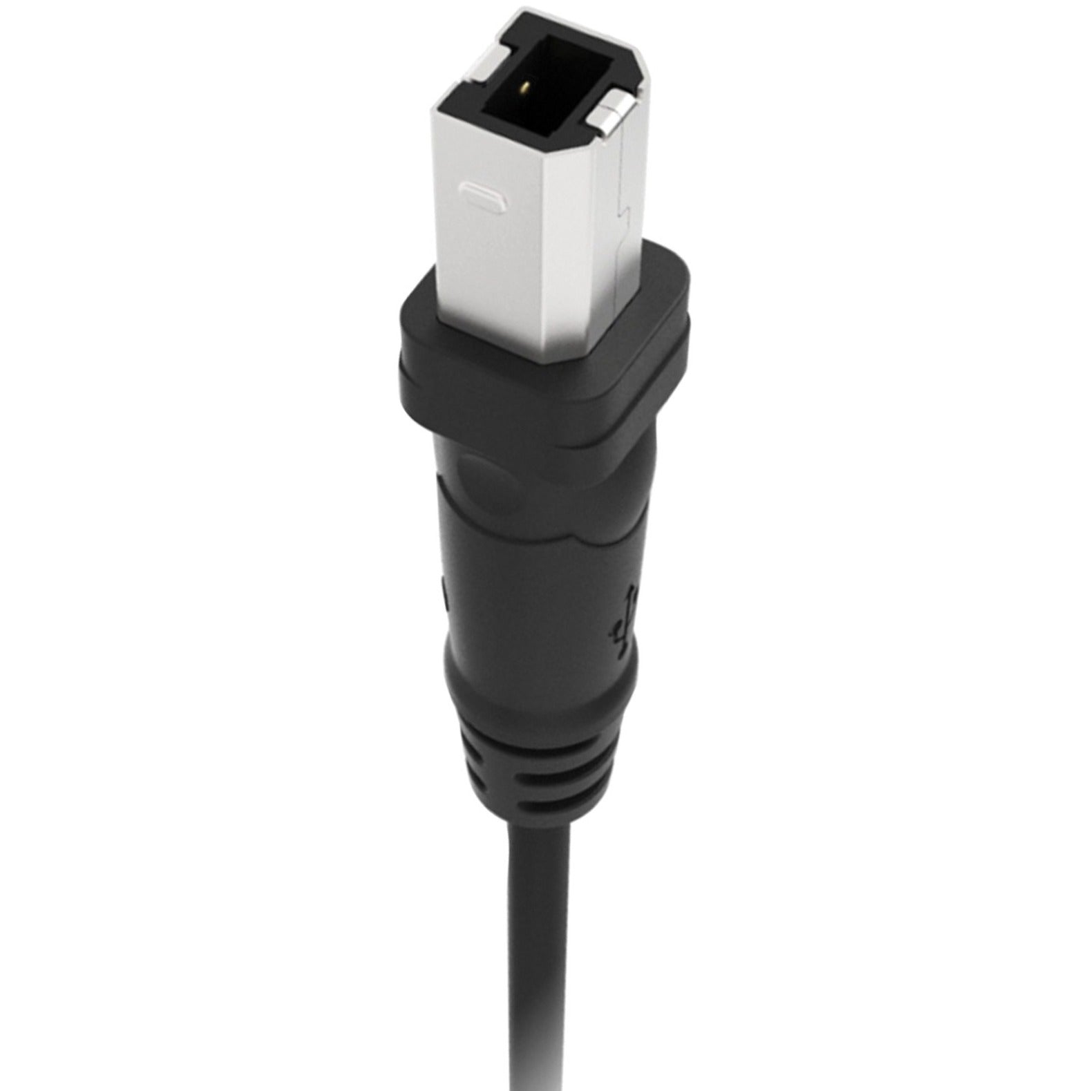 Belkin F3U133B10 USB Cable, 10 ft Data Transfer Cable