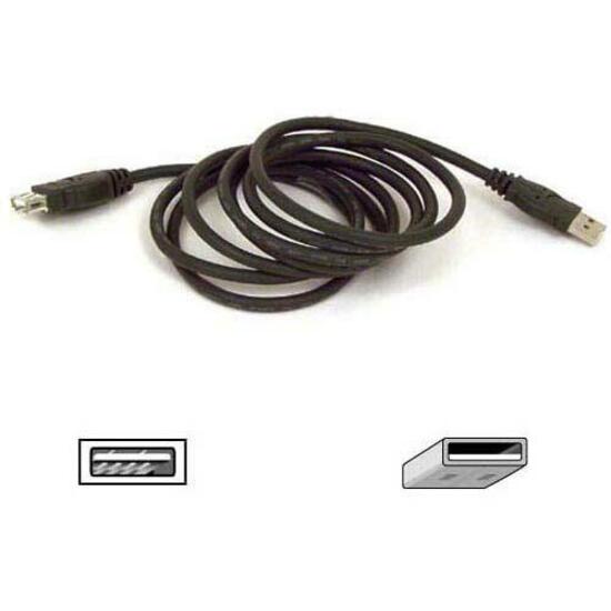 Belkin F3U134B06 USB Extension Cable, 6 ft, Copper Conductor, Duraflex Jacket, Black
