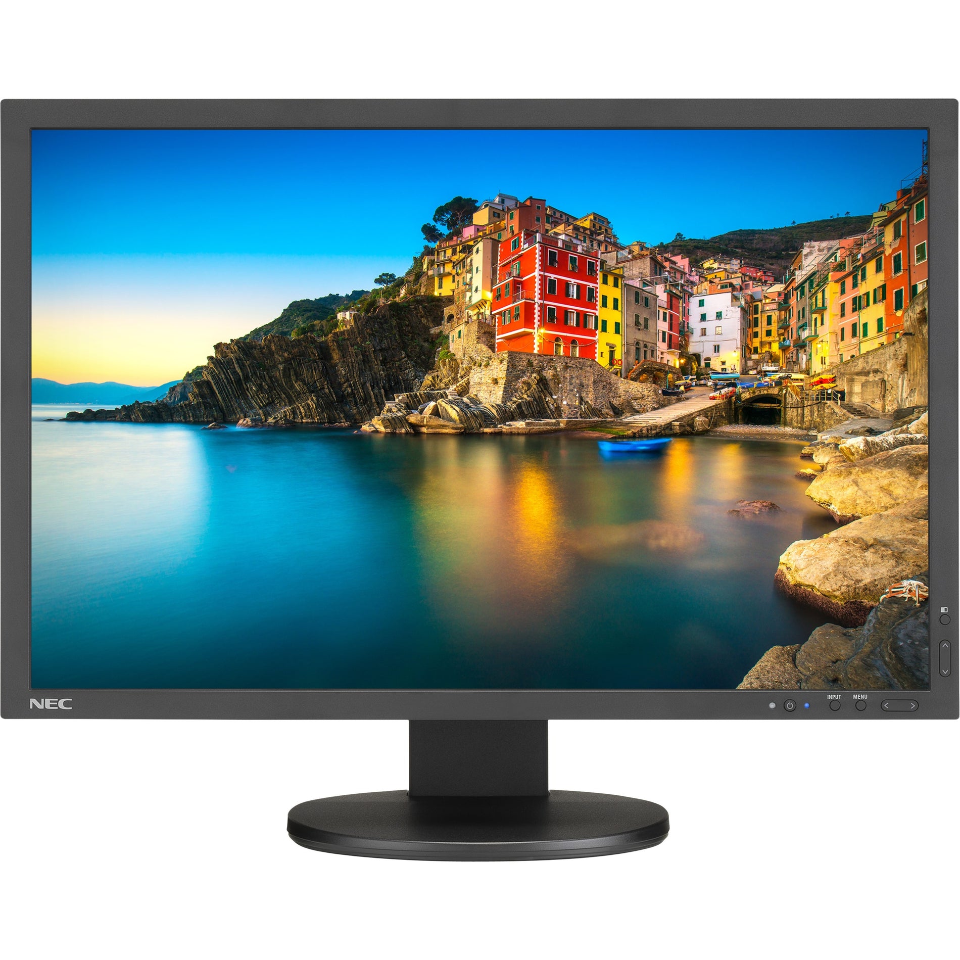 NEC Display P243W-BK Professional 24.1" WUXGA LCD Monitor, 16:10, 350 Nit Brightness, 1.07 Billion Colors