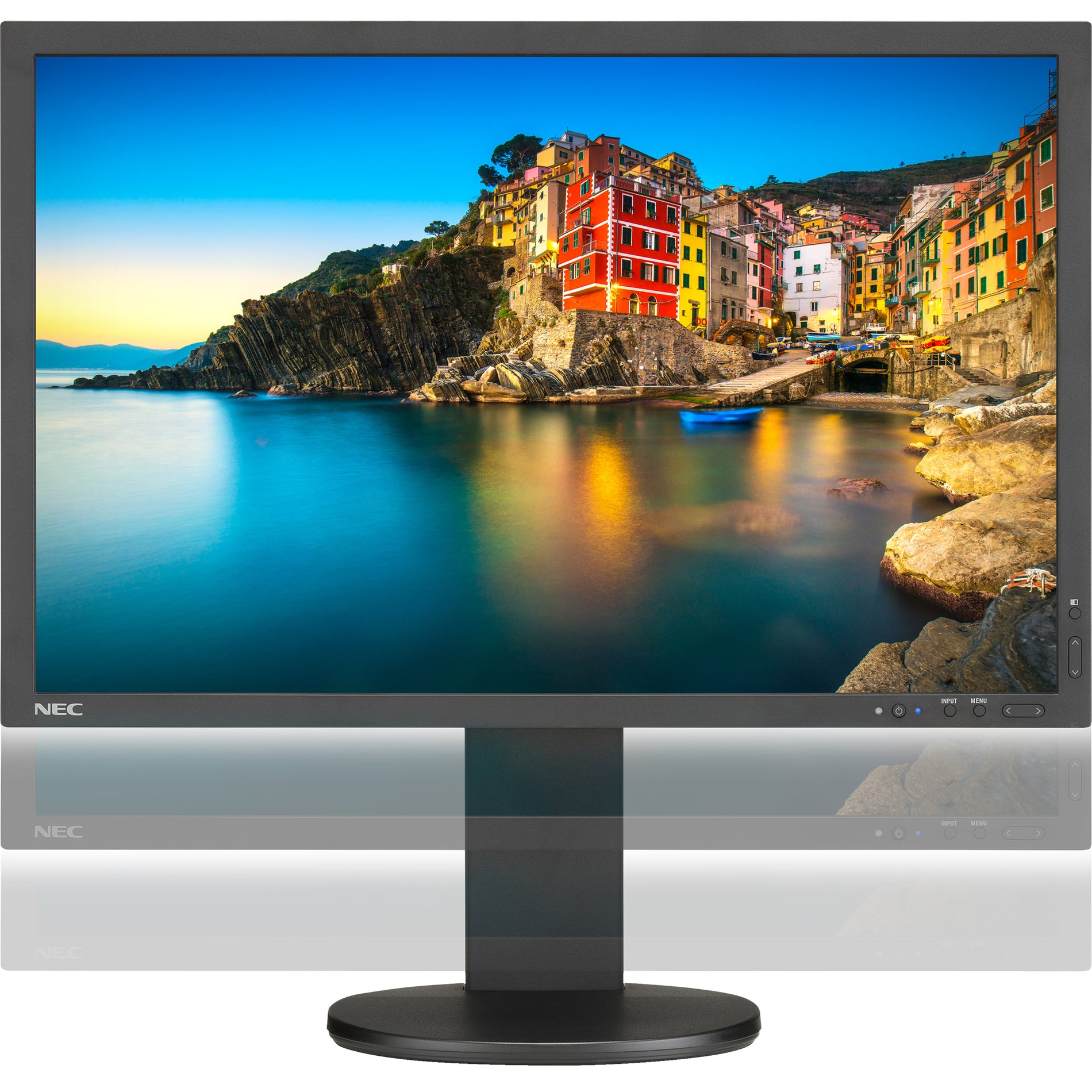 NEC Display P243W-BK Professional 24.1" WUXGA LCD Monitor, 16:10, 350 Nit Brightness, 1.07 Billion Colors