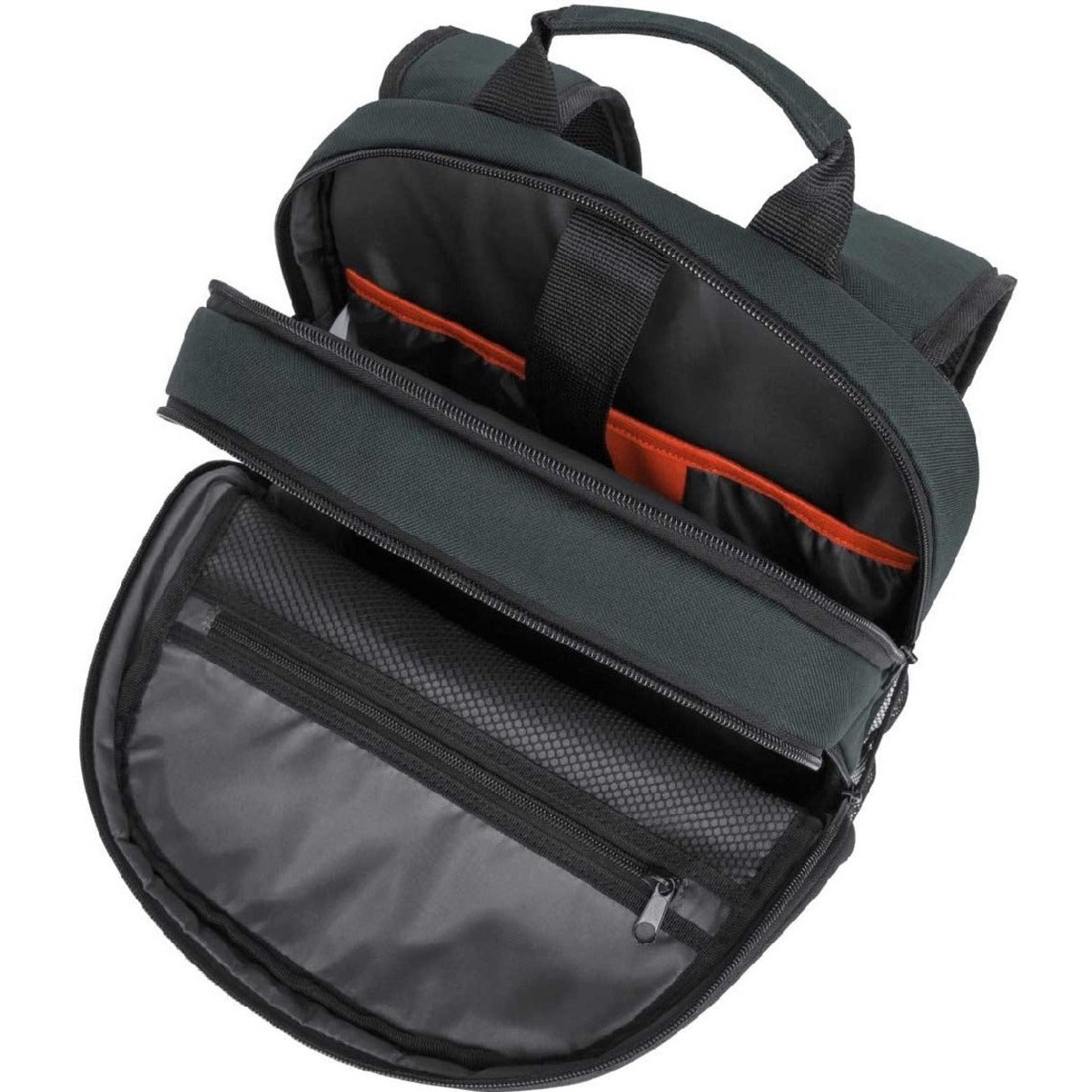 Targus Carrying Case (Backpack) for 15.6" Notebook - Black (TSB96201GL) Alternate-Image9 image