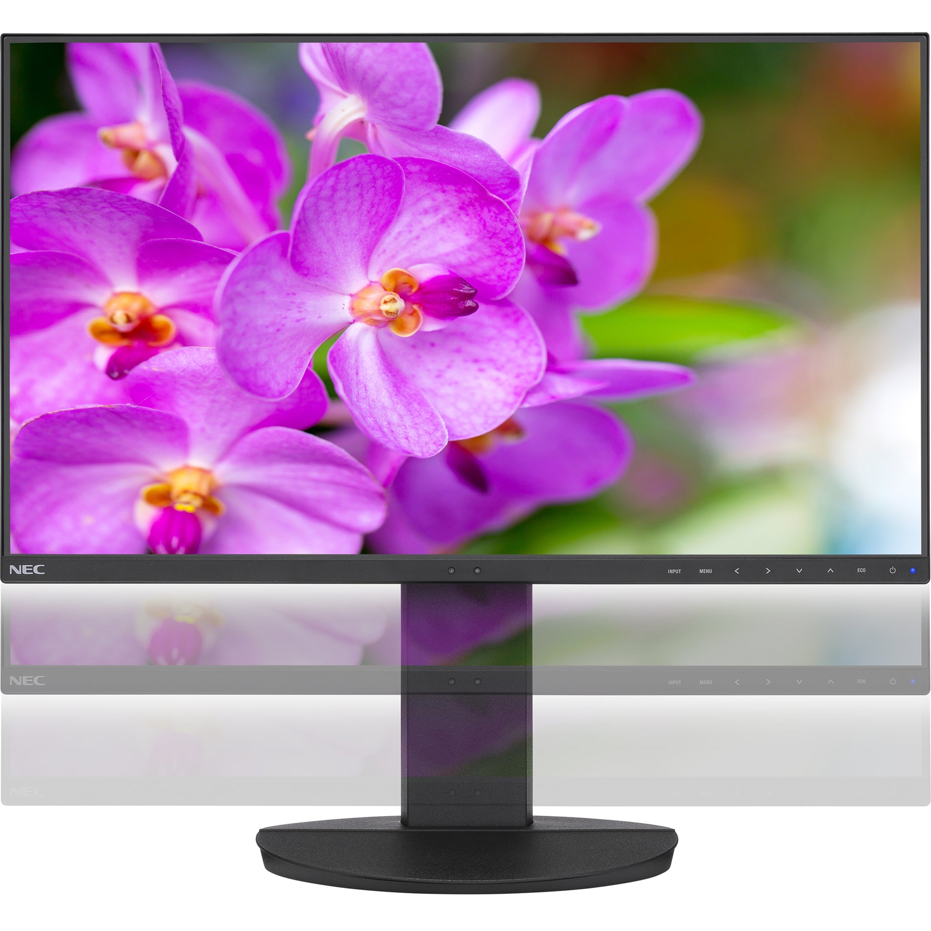 NEC Display EA241F-BK MultiSync 23.8" Full HD LCD Monitor, Ultra-Narrow Bezel, 3-Year Warranty