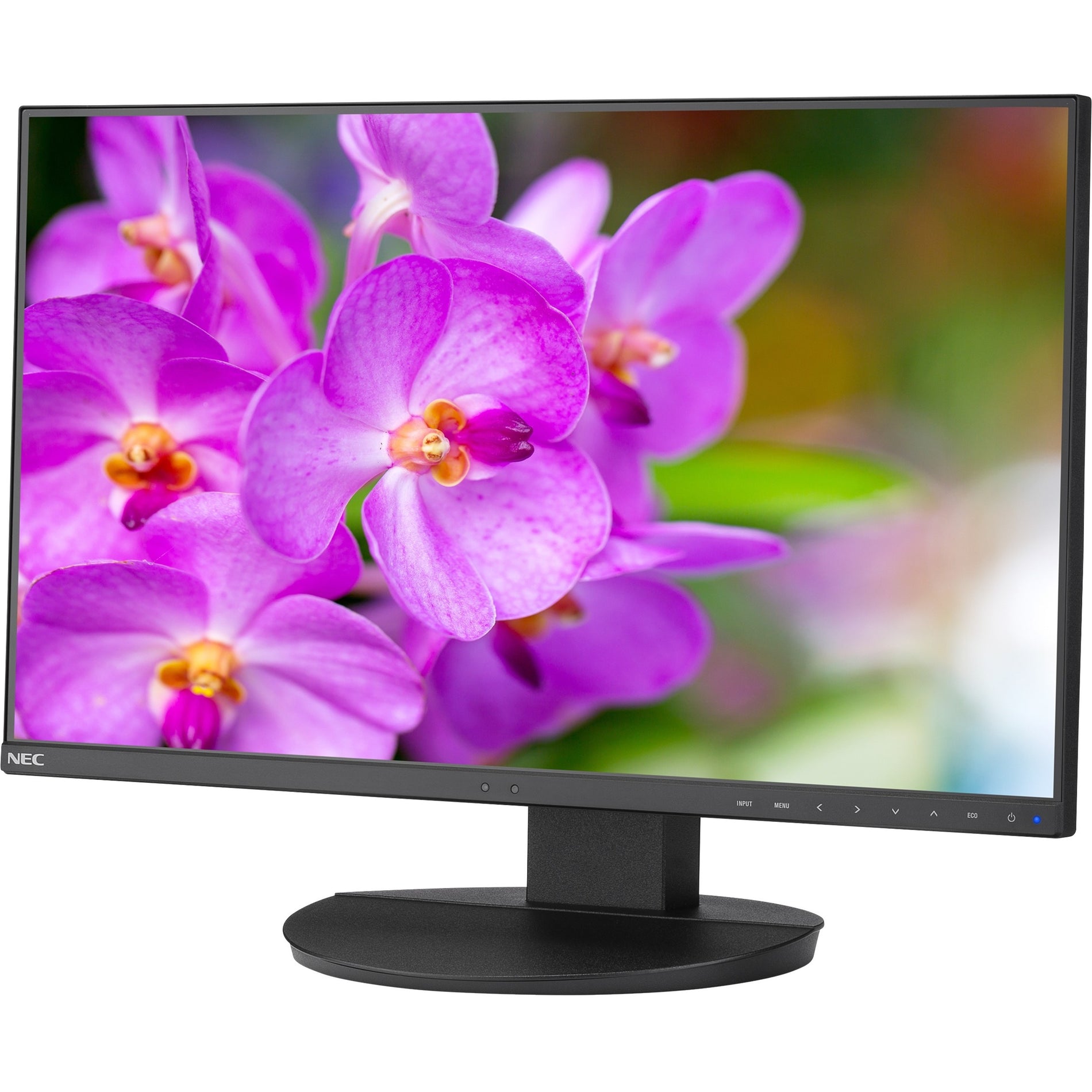 NEC Display EA241F-BK MultiSync 23.8" Full HD LCD Monitor, Ultra-Narrow Bezel, 3-Year Warranty