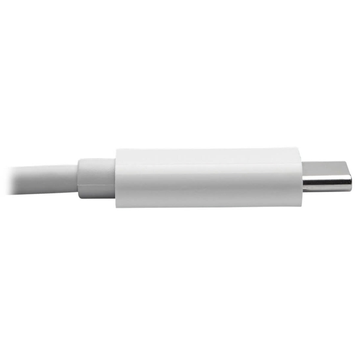Tripp Lite U444-010-DE USB-C to DVI Adapter Cable, White, 10 ft. (3 m)
