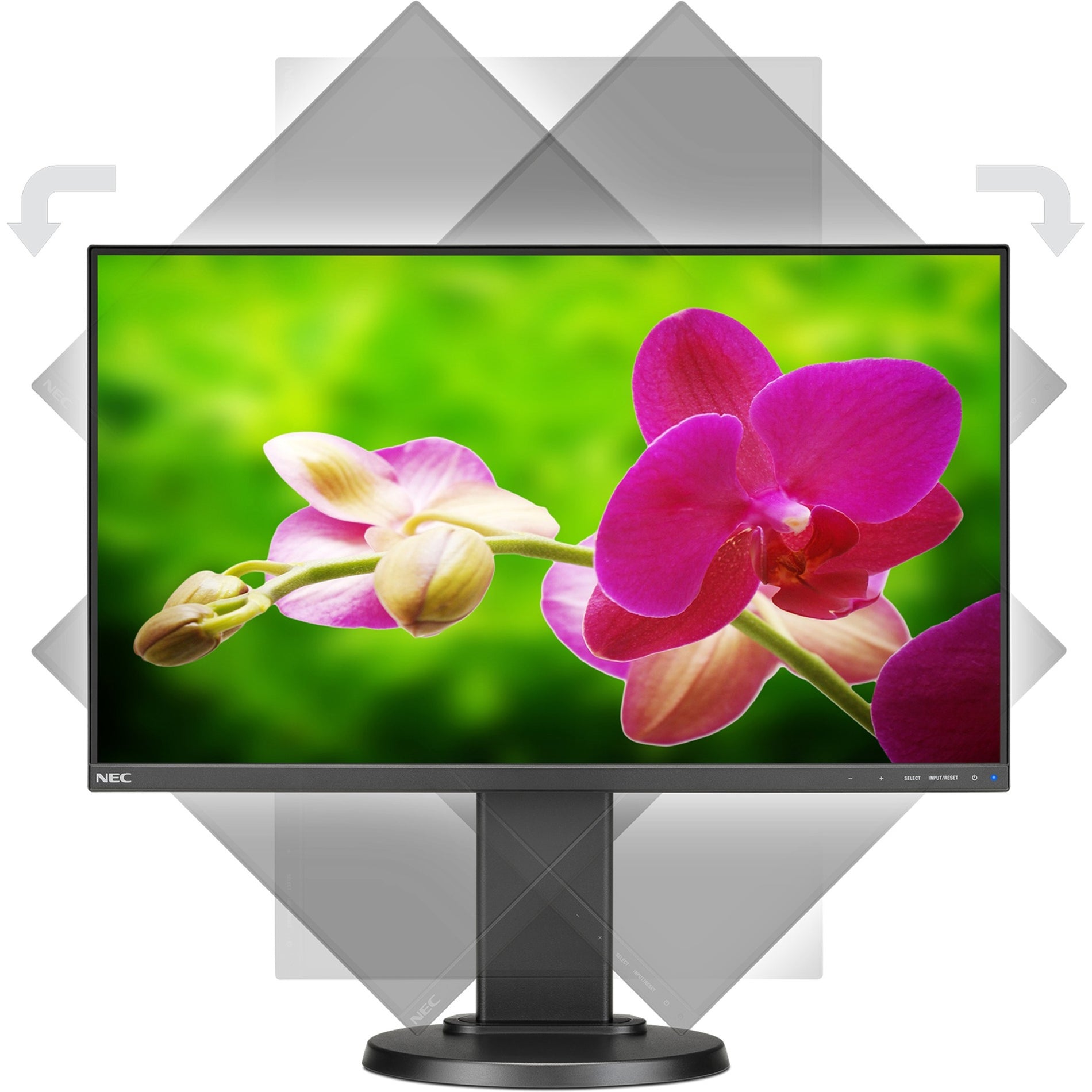 NEC Display 24 Narrow Bezel Desktop Monitor [Discontinued]