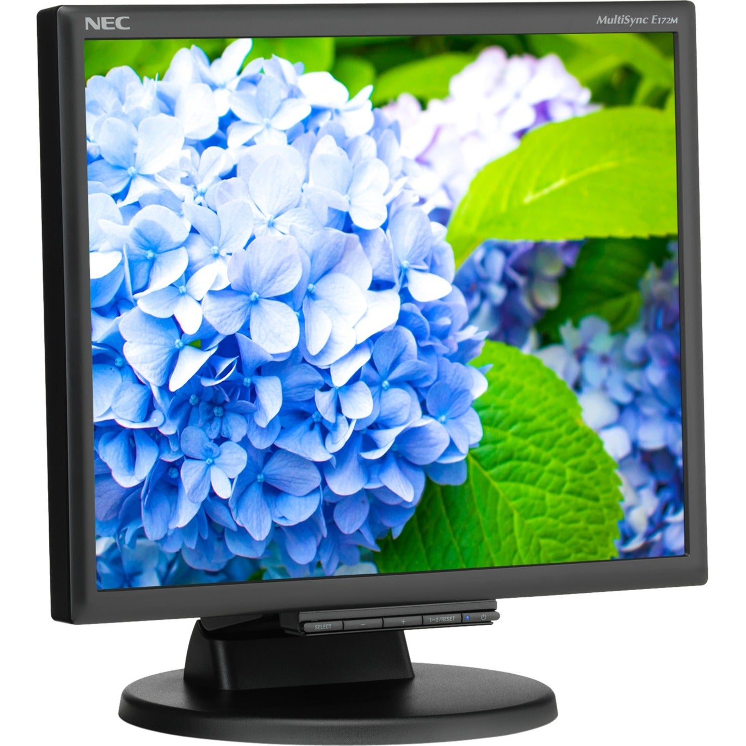 NEC Display E172M-BK 17" Desktop Monitor with LED Backlighting, 5:4 Aspect Ratio, 1280 x 1024 Resolution, Black