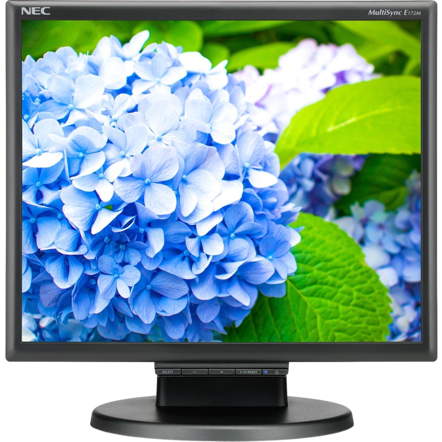 NEC Display E172M-BK 17 Desktop Monitor with LED Backlighting, 5:4 Aspect Ratio, 1280 x 1024 Resolution, Black