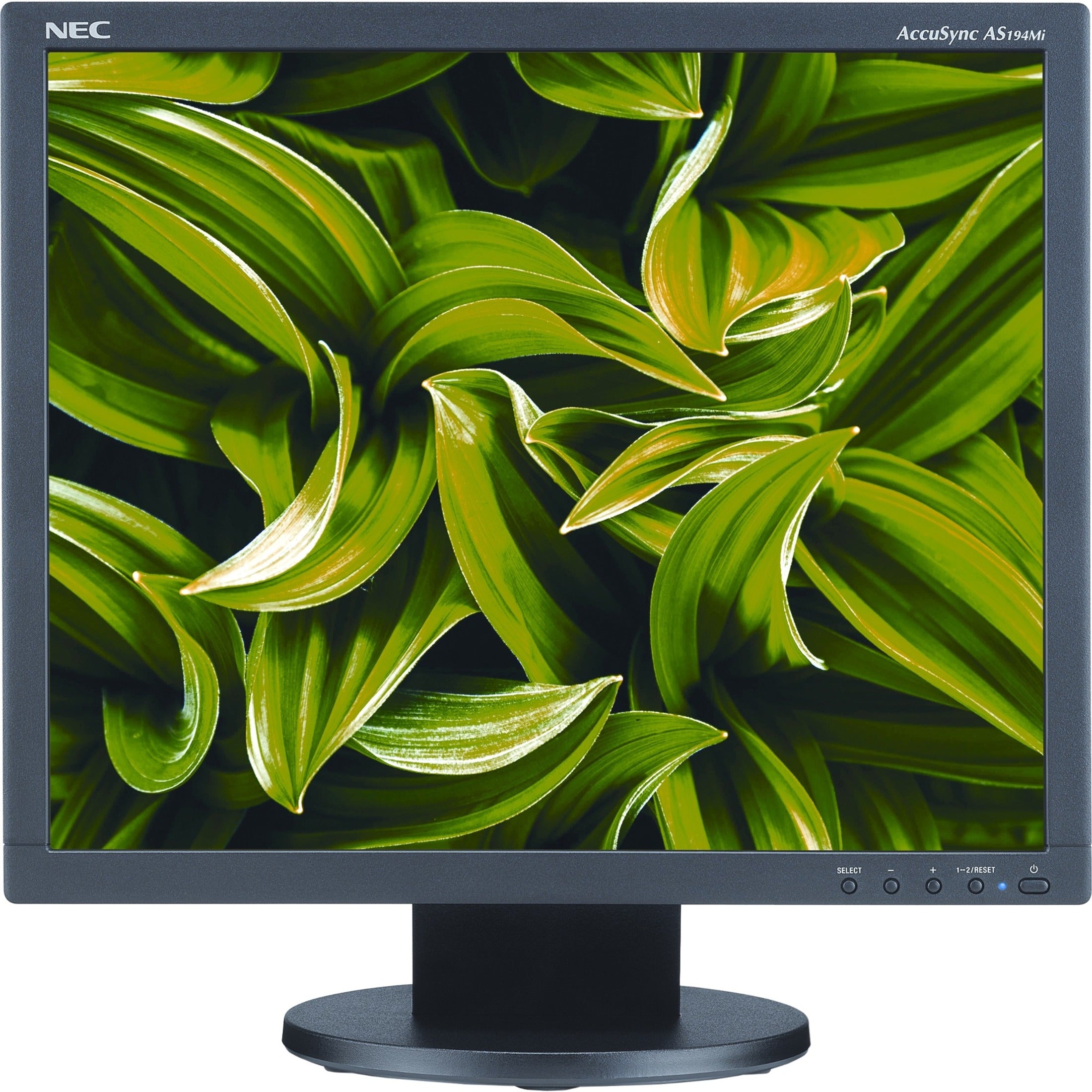 NEC Display AS194MI-BK AccuSync 19 LCD Monitor, SXGA, 5:4, 1280 x 1024, 75Hz, 1000:1, WLED, HDMI, DisplayPort