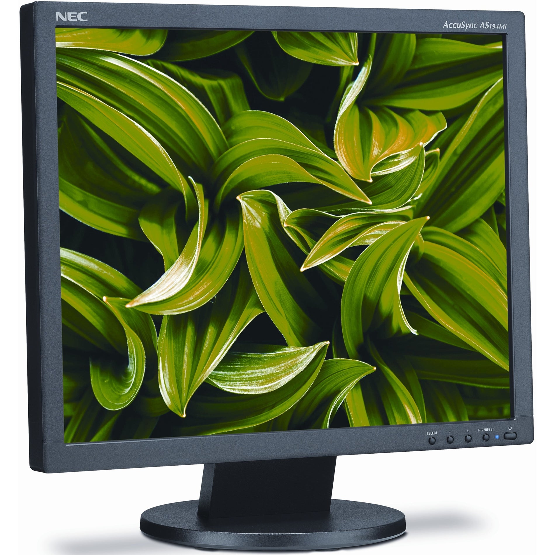 NEC Display AS194MI-BK AccuSync 19" LCD Monitor, SXGA, 5:4, 1280 x 1024, 75Hz, 1000:1, WLED, HDMI, DisplayPort