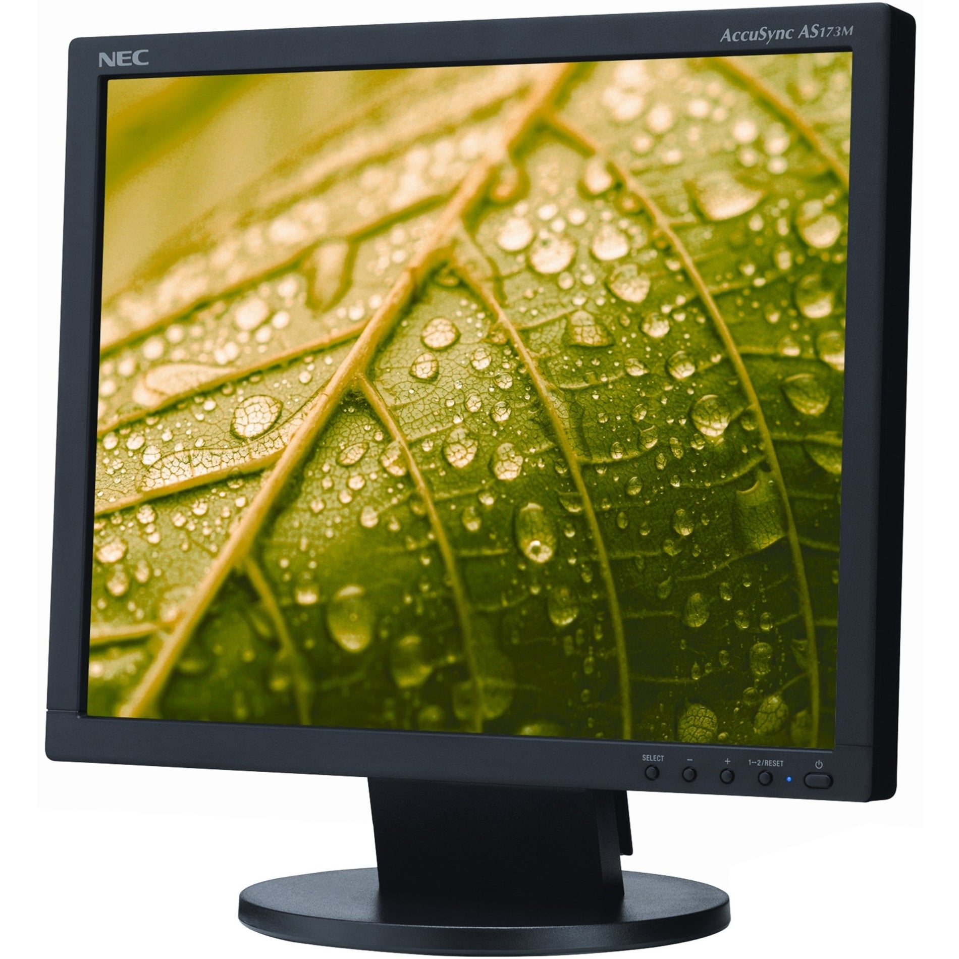 NEC Display AS173M-BK AccuSync 17" LCD Monitor, LED Backlighting, 1280 x 1024, 5:4