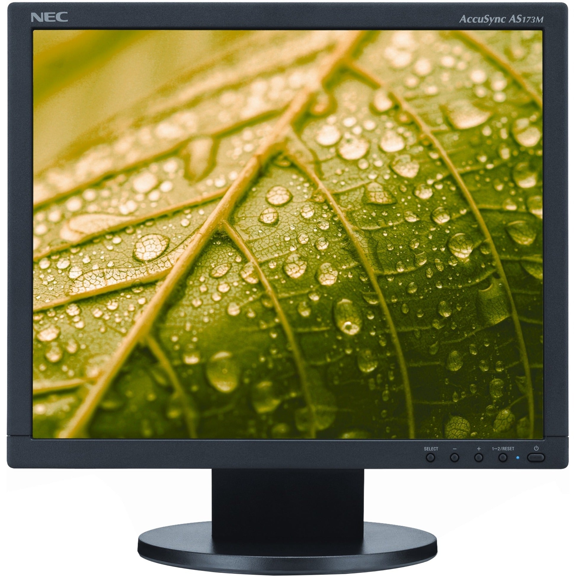 NEC Display AS173M-BK AccuSync 17 LCD Monitor, LED Backlighting, 1280 x 1024, 5:4
