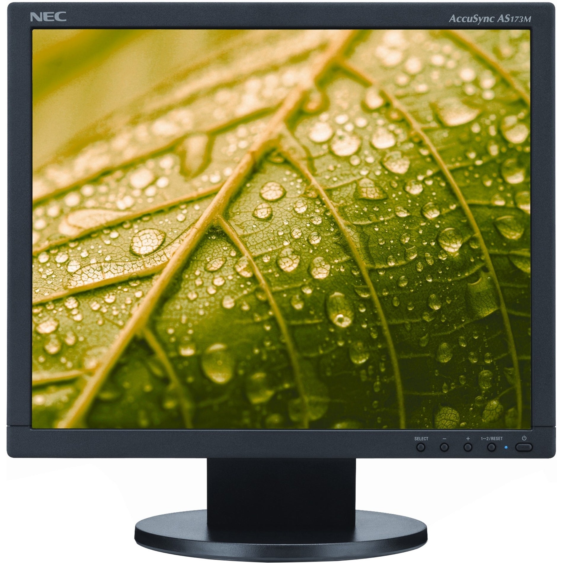NEC Display AS173M-BK AccuSync 17" LCD Monitor, LED Backlighting, 1280 x 1024, 5:4