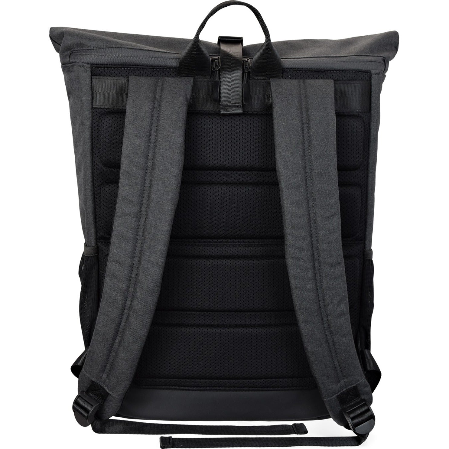 V7 CBXT16 16" Elite Rolltop Laptop Backpack, Gray, Moisture Resistant, Weather Resistant