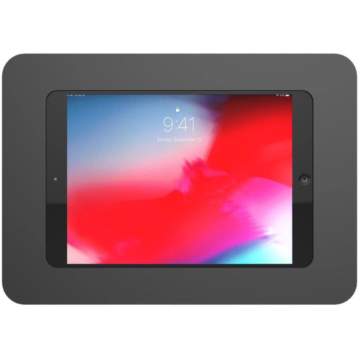 Compulocks 102ROKB iPad 10.2" 7-8th Gen (2019-2020), Rokku Enclosure - Black, Wall Mount