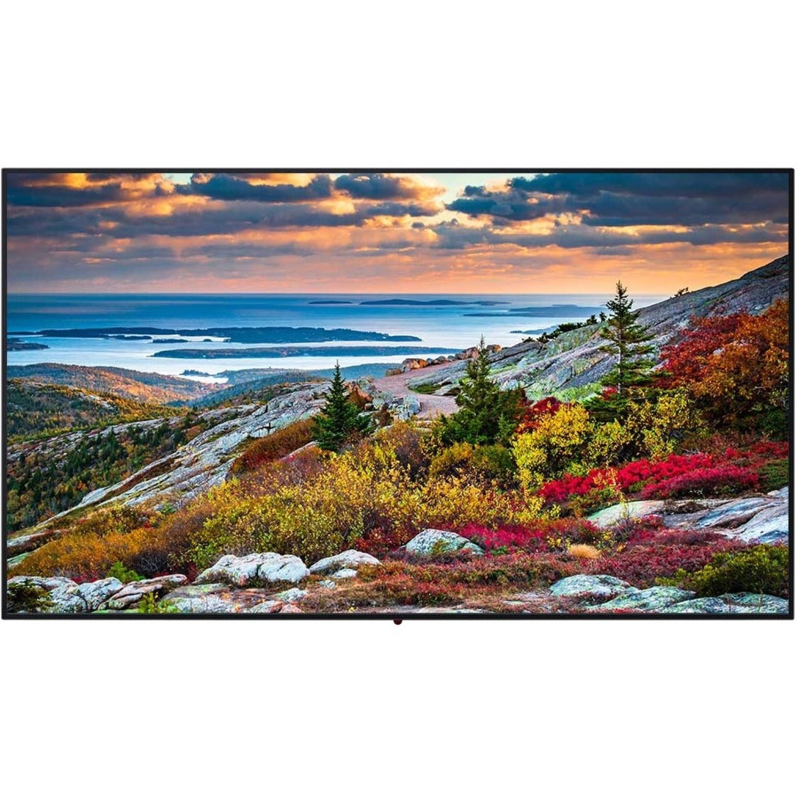 Panasonic 55" 4K LED TV - Stunning Picture Quality and Versatile Connectivity [Discontinued]