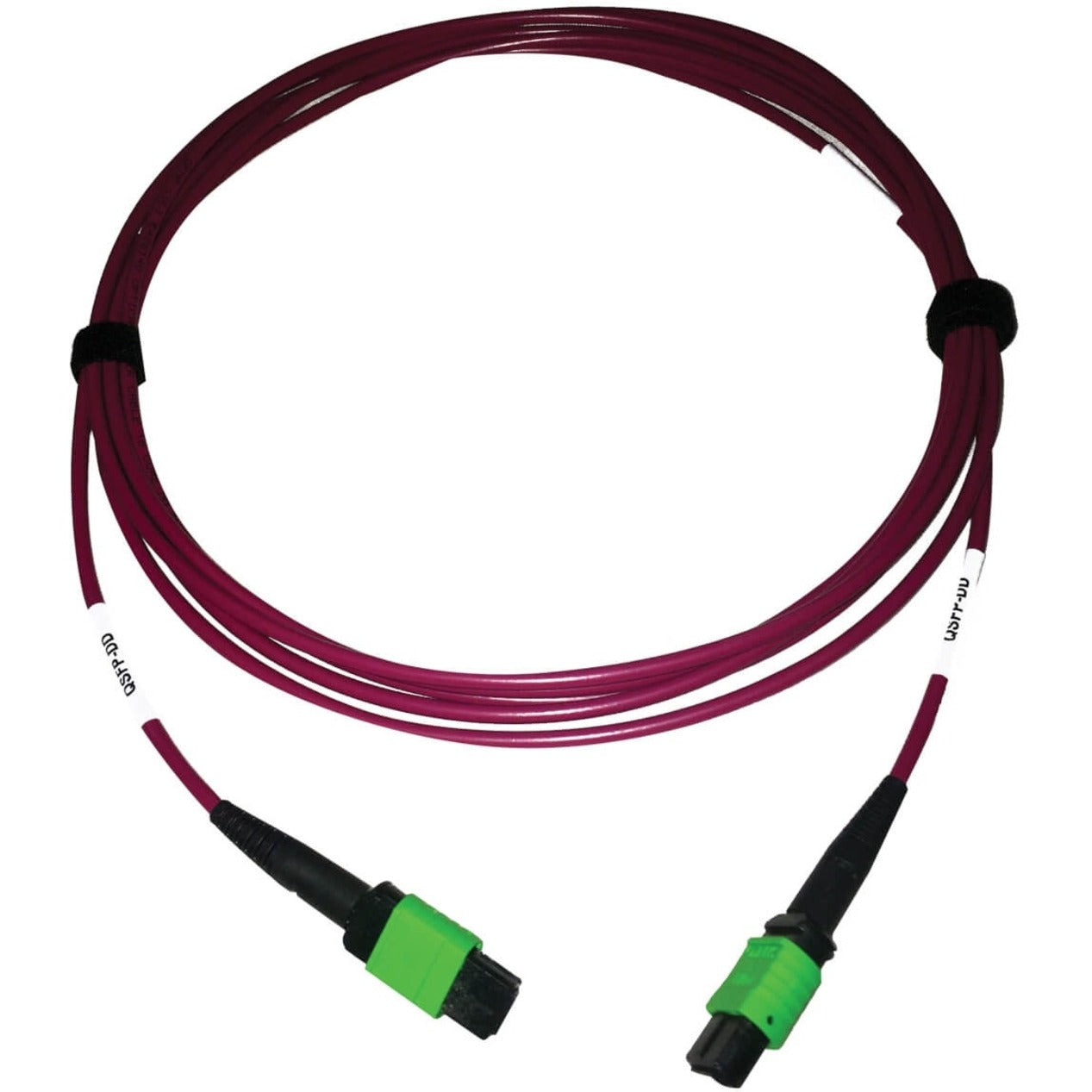Tripp Lite N846D-03M-16AMG 400G Multimode 50/125 OM4 Fiber Optic Cable, Magenta, 3m