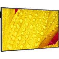 NEC Display 43" Ultra High Definition Commercial Display (ME431) Main image