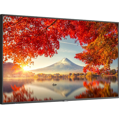 NEC MA551 55-inch digital signage display showing vibrant autumn landscape with Mount Fuji, demonstrating wide color gamut and 4K resolution capabilities-alternate-image1