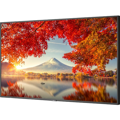 NEC MA551 showing uniform edge LED backlighting across autumn landscape display with consistent brightness distribution-alternate-image3