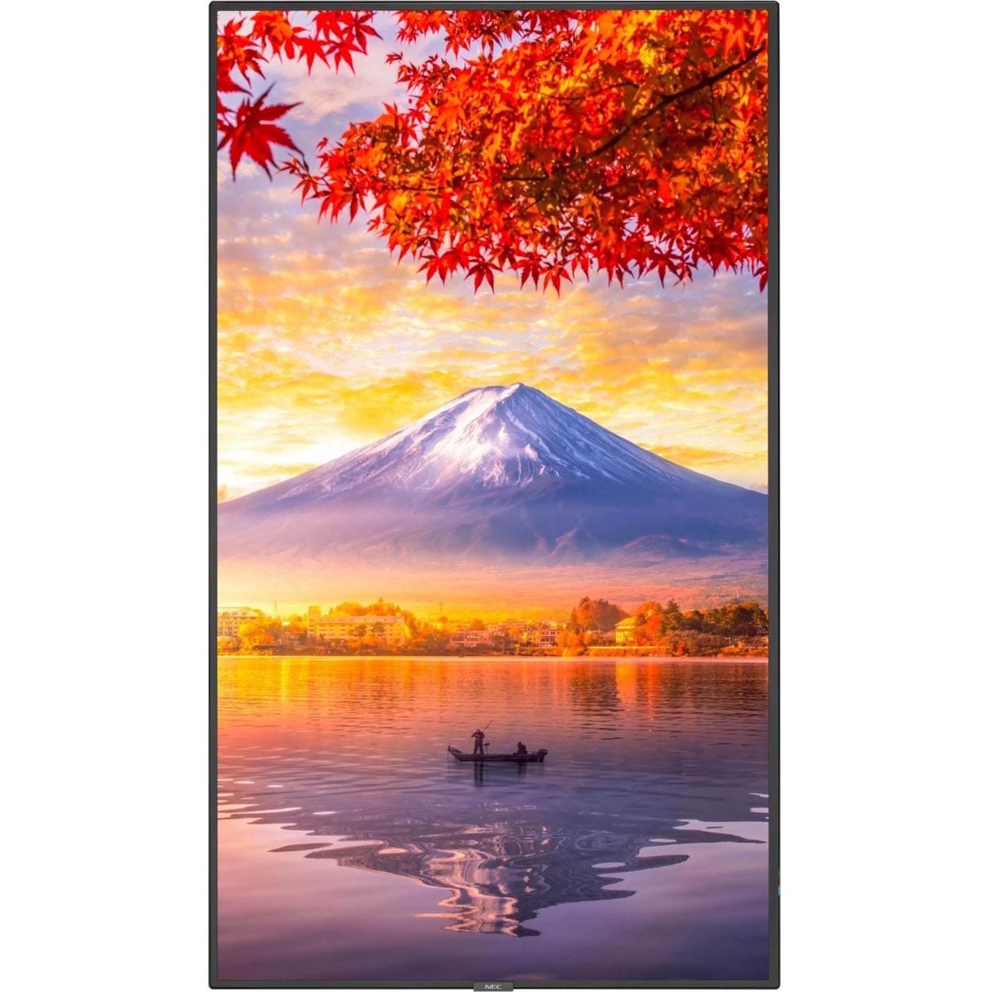 NEC MA551 in portrait orientation displaying vertical autumn mountain landscape, demonstrating flexible installation capabilities-alternate-image5