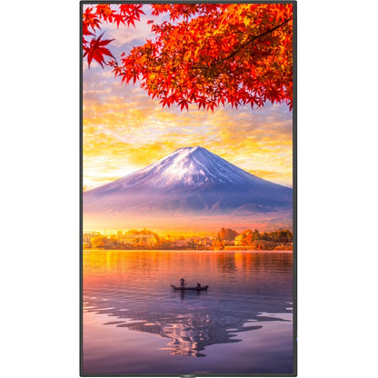 NEC MA551 in portrait orientation displaying vertical autumn mountain landscape, demonstrating flexible installation capabilities-alternate-image5