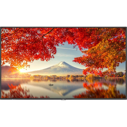 NEC MA551 displaying HDR-enhanced autumn scenery with Mount Fuji, showing superior contrast and dynamic range capabilities-alternate-image2