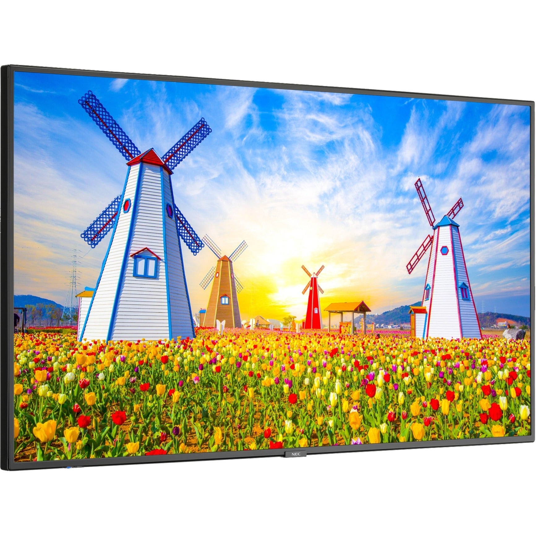 NEC Display M651-AVT3 65" Ultra High Definition Professional Display with Integrated ATSC/NTSC Tuner, 500 Nit Brightness, 8-bit+FRC Color Depth, 2160p Scan Format