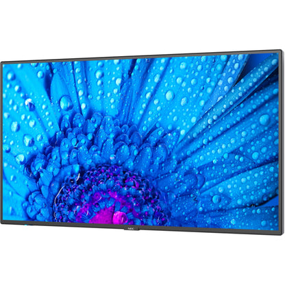 NEC M431 43-inch display showing vibrant blue flower with water droplets in 4K HDR-alternate-image1