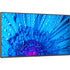 NEC Display 43" Ultra High Definition Professional Display (M431) Alternate-Image7 image
