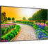 NEC Display 43" Ultra High Definition Professional Display (M431) Alternate-Image13 image