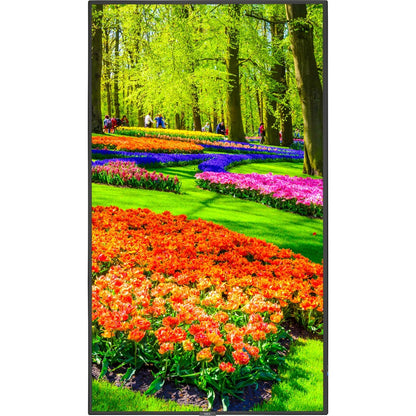 NEC Display 43" Ultra High Definition Professional Display (M431) Alternate-Image16 image